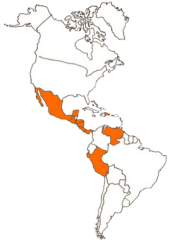 Alcance de Infoconexus